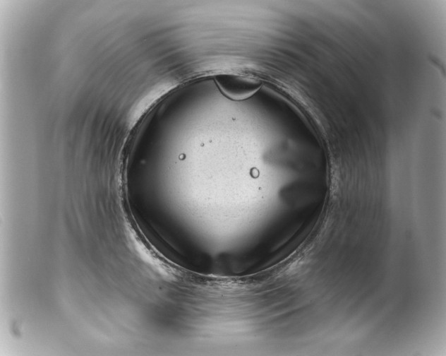 X0000099531042200805301436