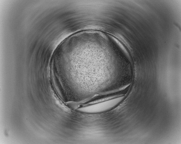 X0000099531044200805301436