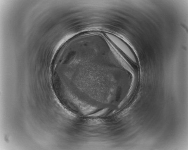 X0000099531045200805301436