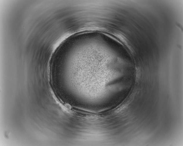 X0000099531046200805301436