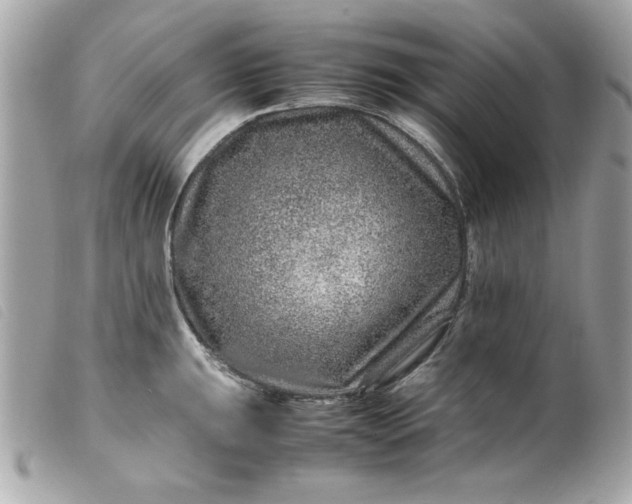 X0000099531047200805301436