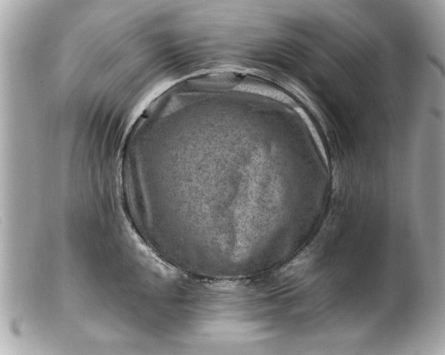 X0000099531048200805301436