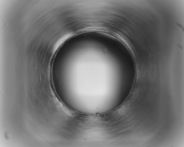 X0000099531050200805301436