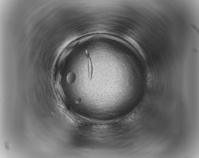 X0000099531051200805301436