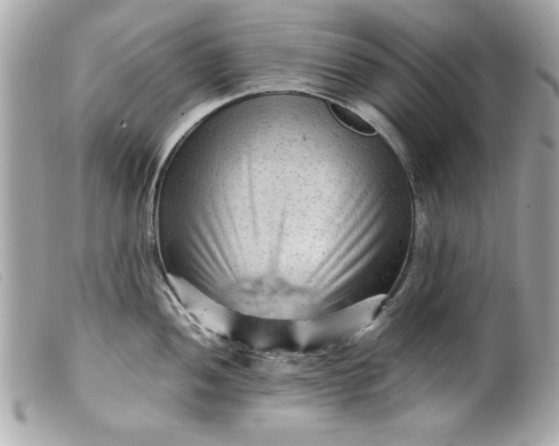 X0000099531052200805301436