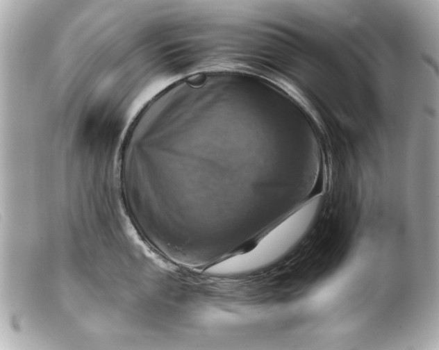 X0000099531053200805301436