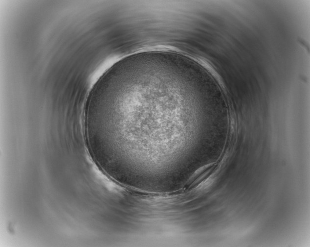 X0000099531054200805301436