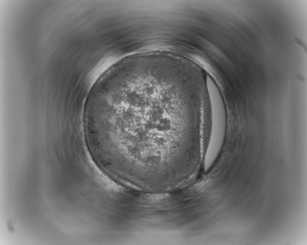 X0000099531055200805301436