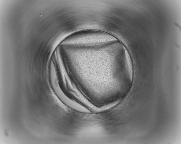 X0000099531056200805301436