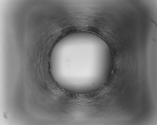 X0000099531057200805301435