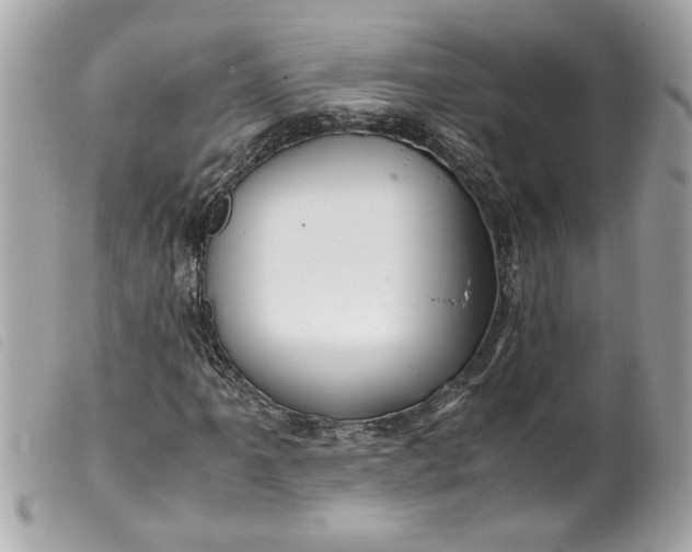 X0000099531061200805301435