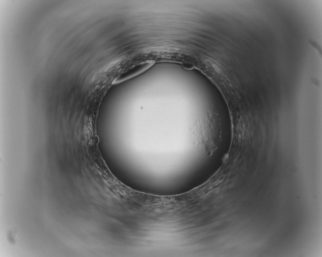 X0000099531062200805301435