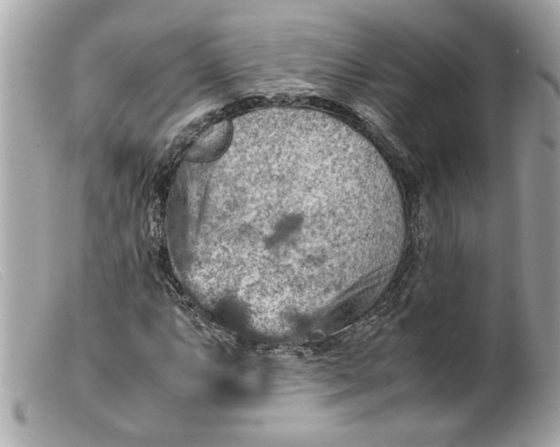 X0000099531063200805301435