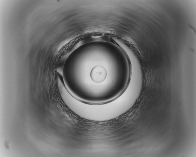 X0000099531064200805301435