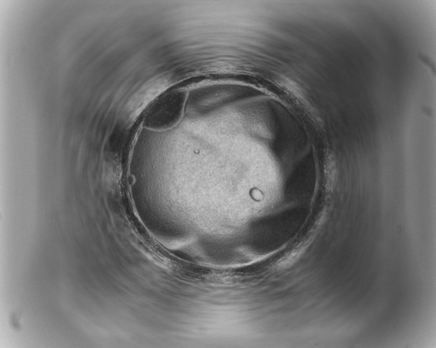 X0000099531065200805301435