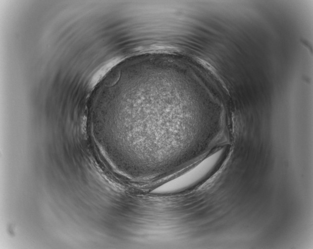 X0000099531066200805301435