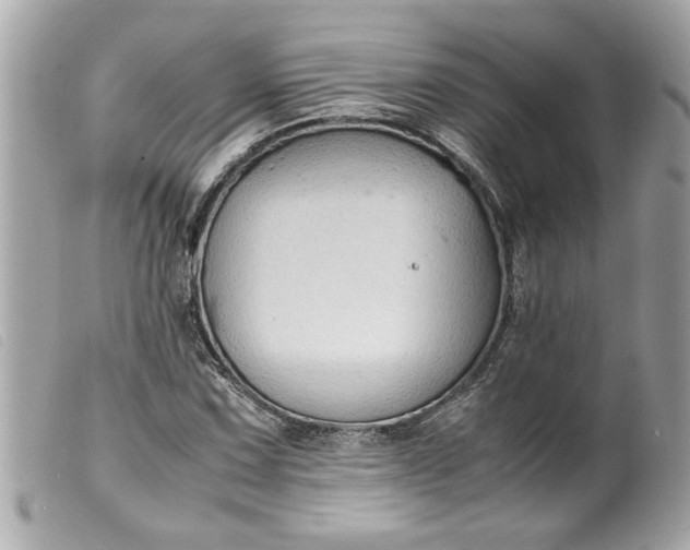 X0000099531067200805301435