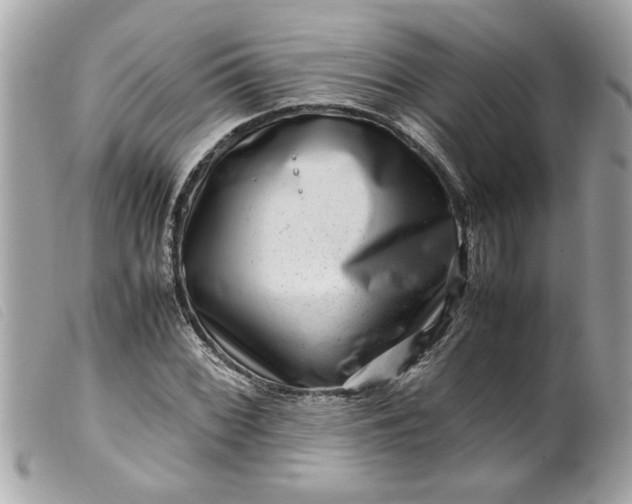 X0000099531068200805301435