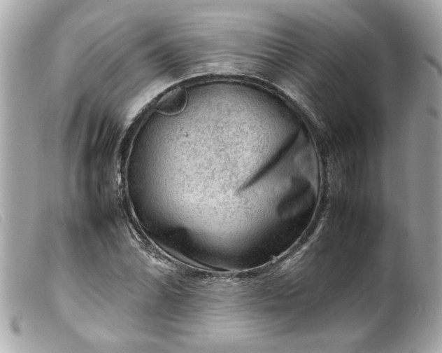 X0000099531070200805301435