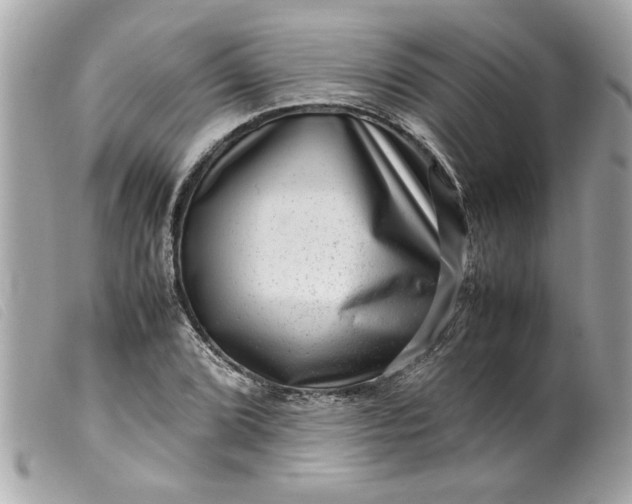 X0000099531072200805301435