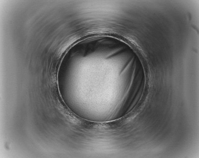 X0000099531073200805301435