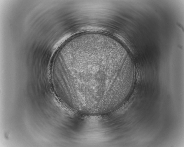 X0000099531074200805301435