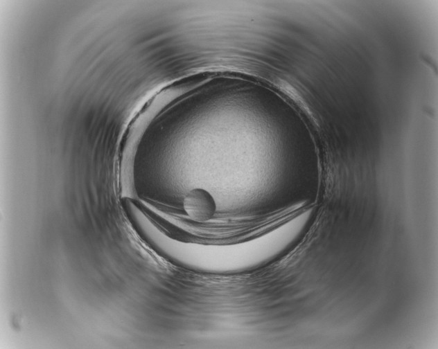 X0000099531076200805301435