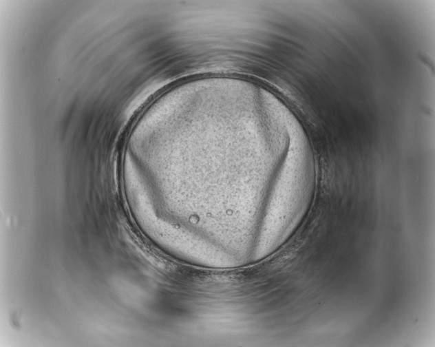 X0000099531078200805301435