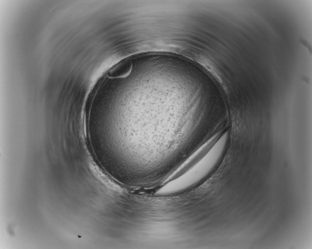 X0000099531080200805301435