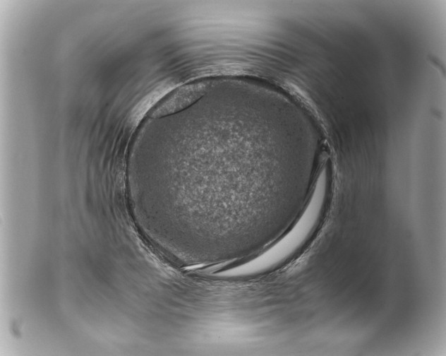 X0000099531081200805301435