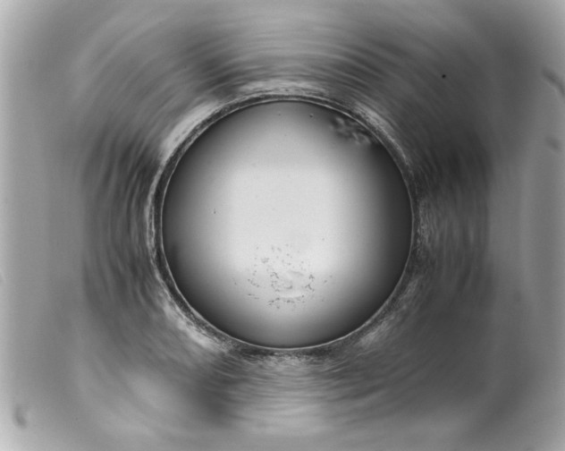 X0000099531082200805301435