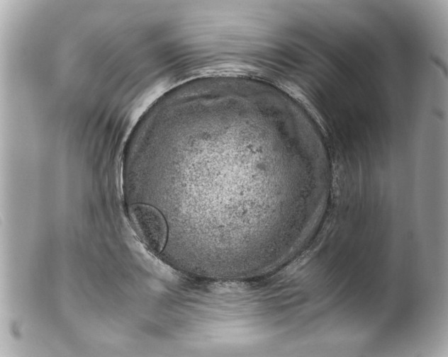 X0000099531083200805301435