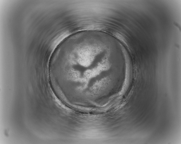 X0000099531087200805301435