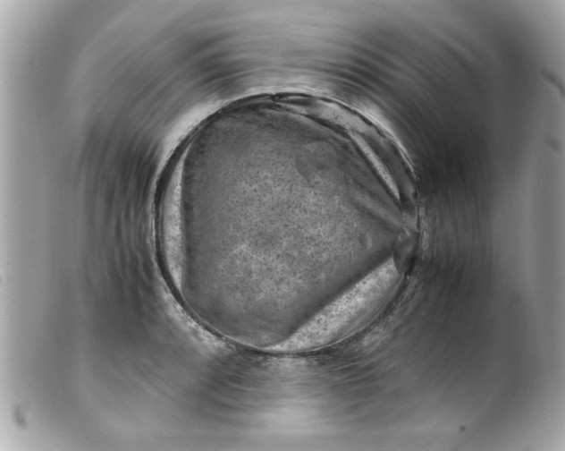 X0000099531088200805301435