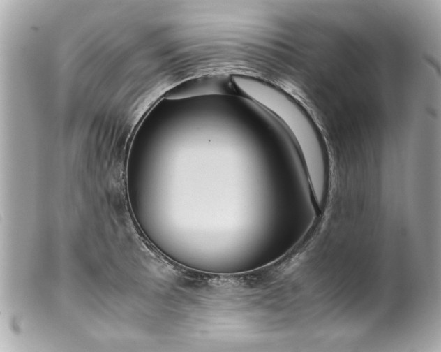 X0000099531089200805301435