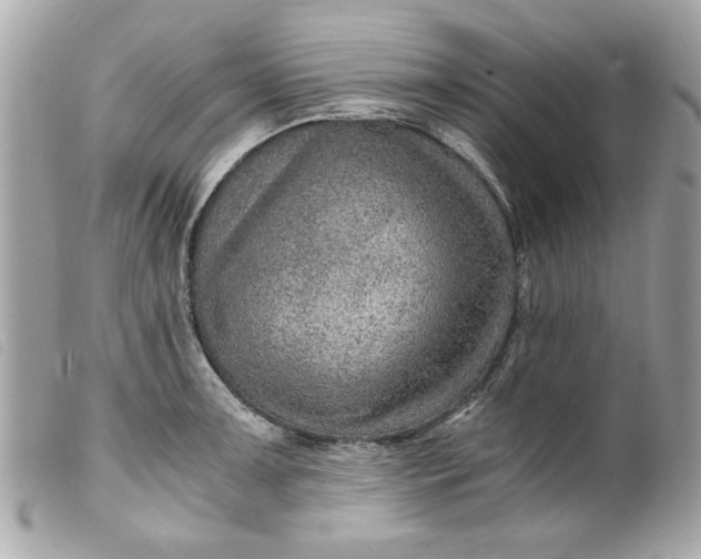 X0000099531091200805301435