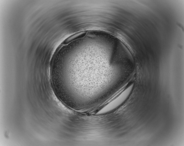 X0000099531092200805301435