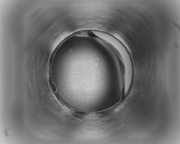 X0000099531093200805301435