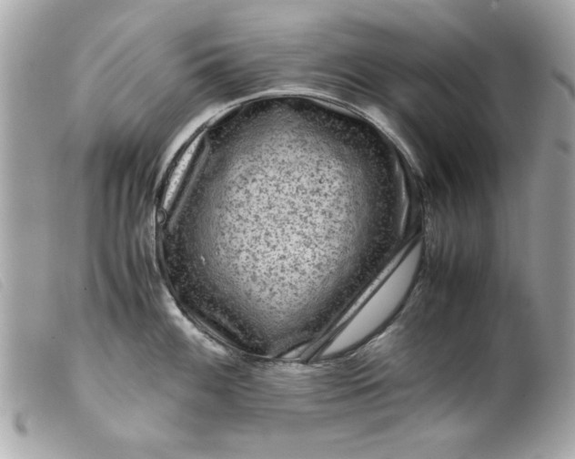 X0000099531100200805301434