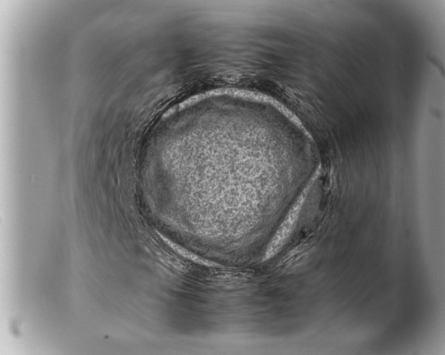 X0000099531105200805301434