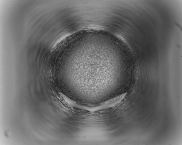 X0000099531112200805301434