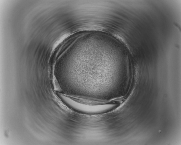 X0000099531114200805301434