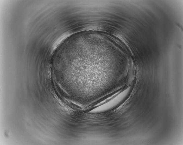 X0000099531115200805301434