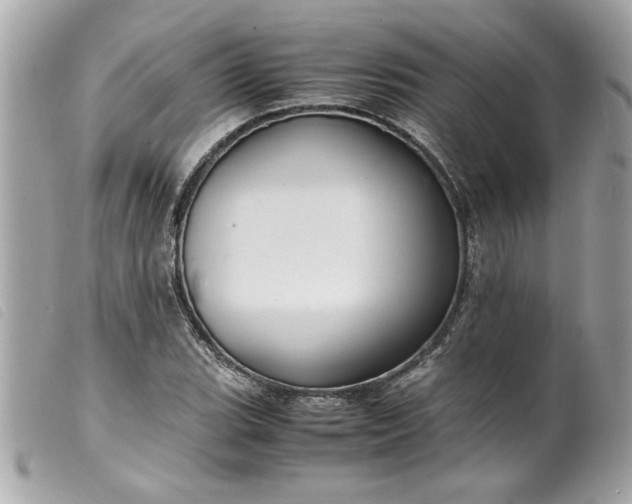 X0000099531119200805301434