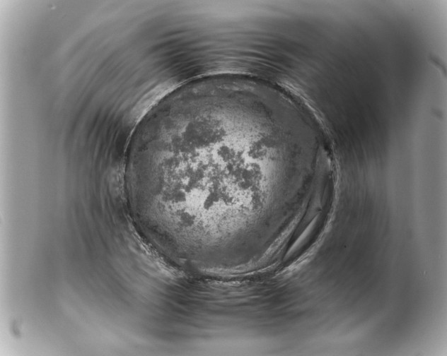 X0000099531121200805301434