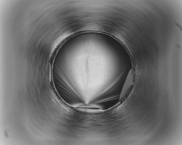 X0000099531123200805301434