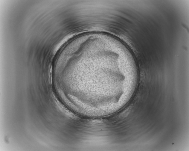 X0000099531126200805301434