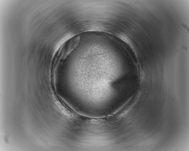 X0000099531138200805301434