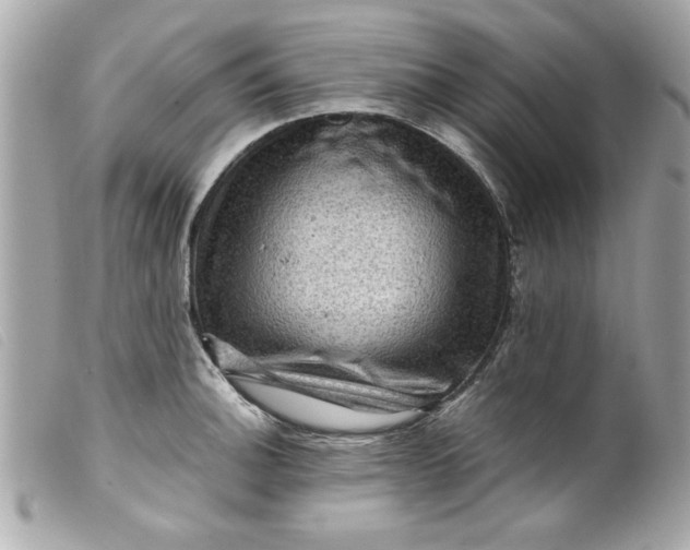 X0000099531140200805301434