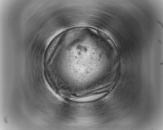 X0000099531142200805301434